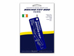 Load image into Gallery viewer, Boeing 737-800 ex-FR/RYR
